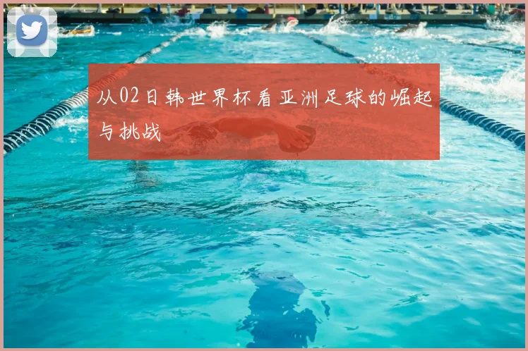 从02日韩世界杯看亚洲足球的崛起与挑战