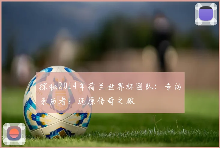 探秘2014年荷兰世界杯团队：专访亲历者，还原传奇之旅