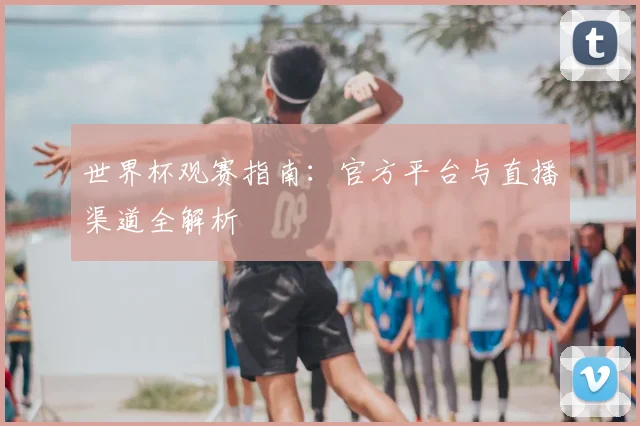 世界杯观赛指南:官方平台与直播渠道全解析