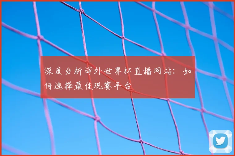 深度分析海外世界杯直播网站：如何选择最佳观赛平台