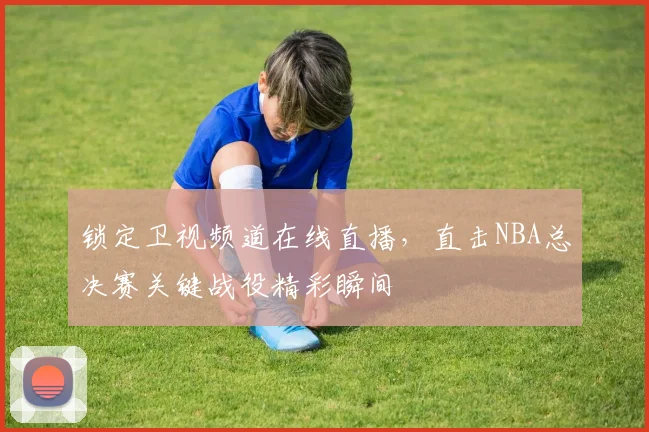 锁定卫视频道在线直播,直击NBA总决赛关键战役精彩瞬间